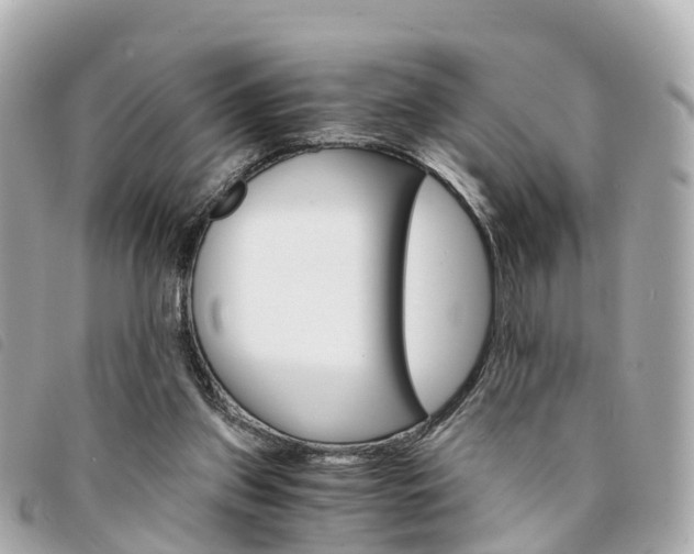 X0000094220157200710261001
