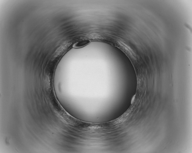 X0000094220158200710261001