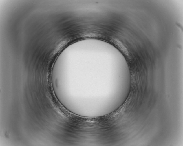 X0000094220159200710261001