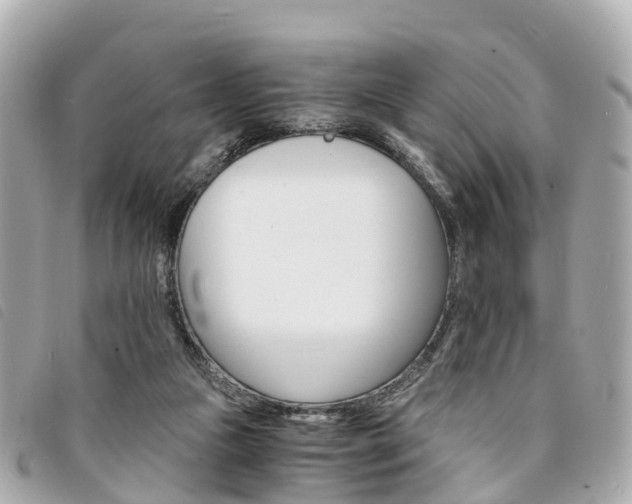 X0000094220161200710261001
