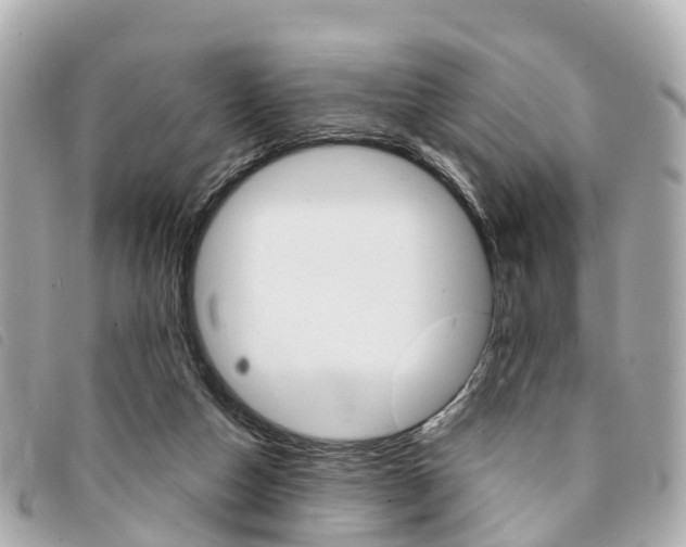X0000094220162200710261001