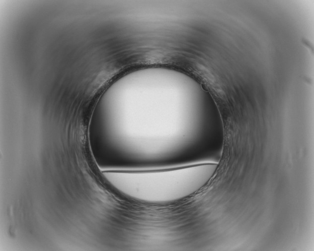 X0000094220164200710261001