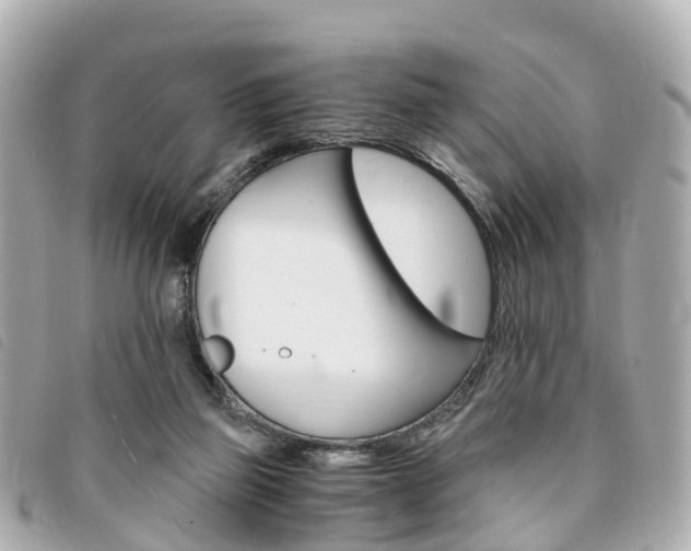 X0000094220165200710261001