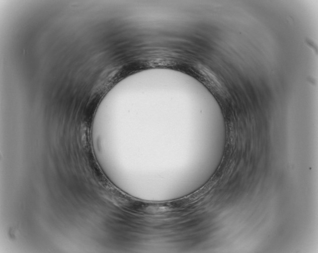 X0000094220169200710261001
