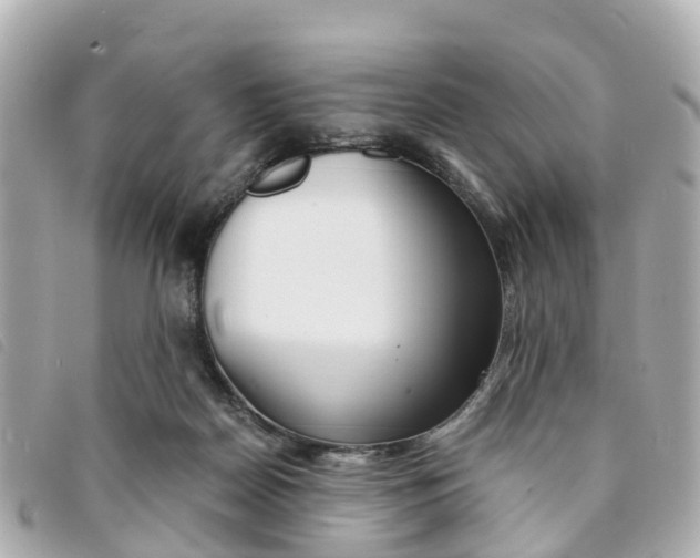 X0000094220170200710261001