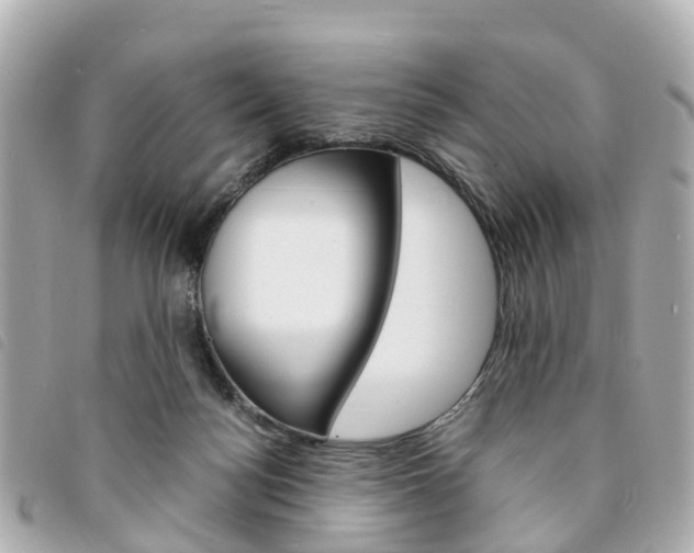 X0000094220172200710261001