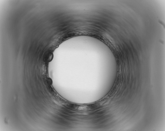 X0000094220173200710261001