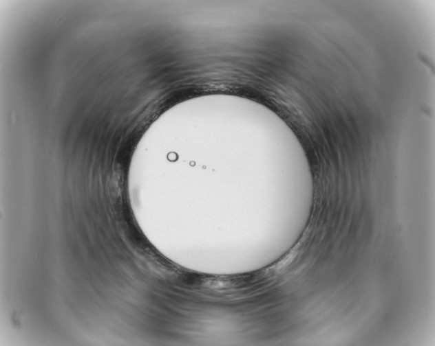 X0000094220174200710261001