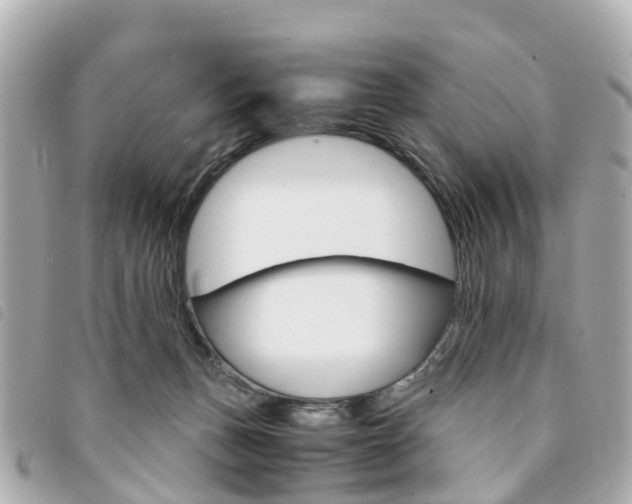 X0000094220175200710261001