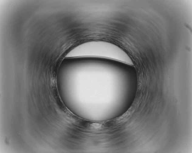 X0000094220176200710261001