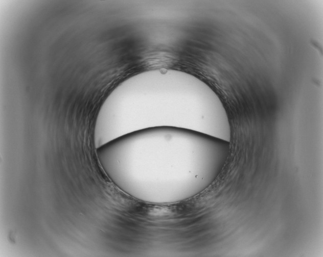 X0000094220177200710261001