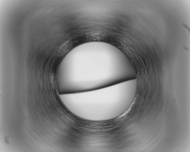 X0000094220178200710261001