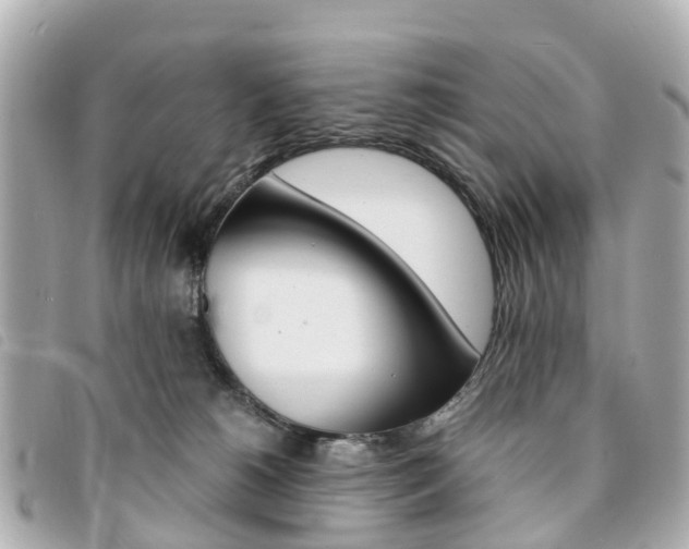 X0000094220180200710261001