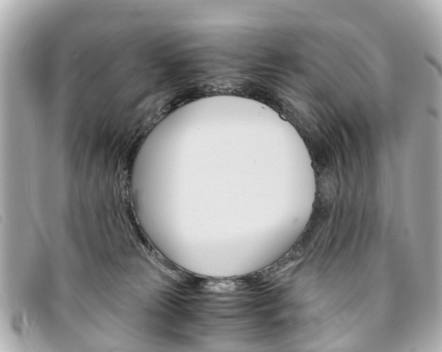 X0000094220181200710261001