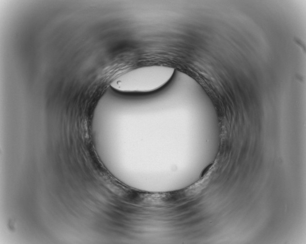 X0000094220182200710261001