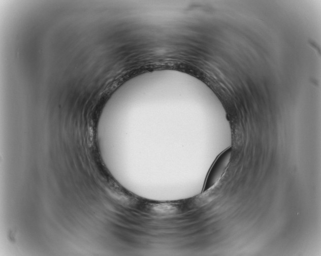 X0000094220183200710261001