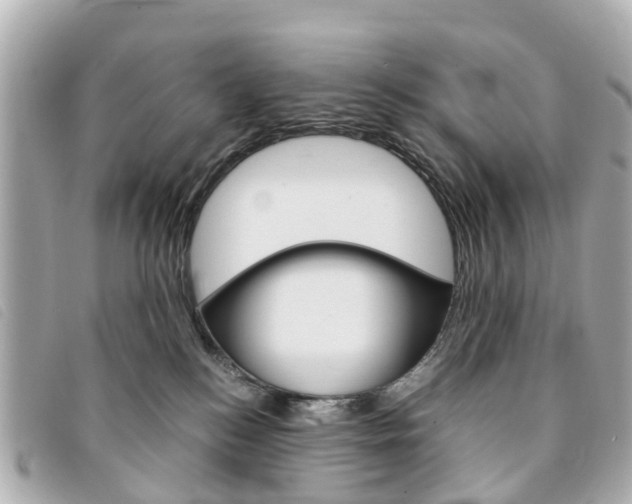 X0000094220184200710261001