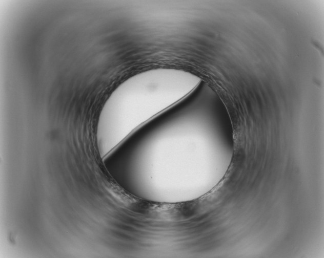 X0000094220186200710261001