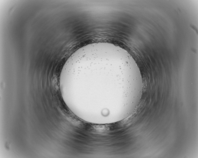 X0000094220187200710261001