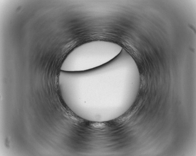 X0000094220189200710261001