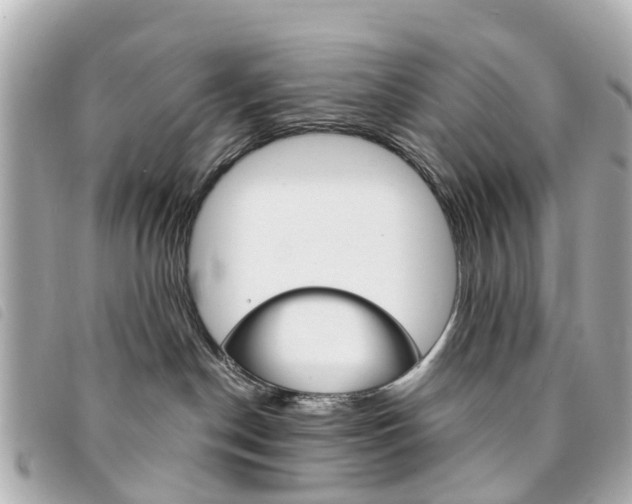 X0000094220190200710261001
