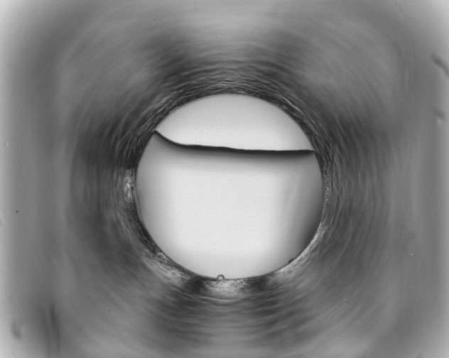 X0000094220191200710261001