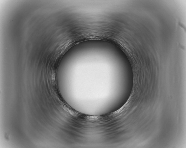 X0000094220192200710261001
