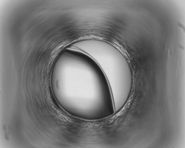 X0000094220193200710261001