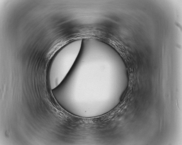 X0000094220194200710261001
