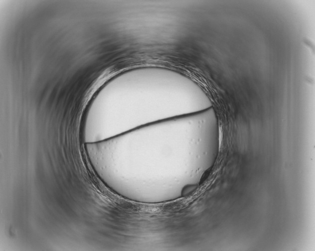 X0000094220195200710261001