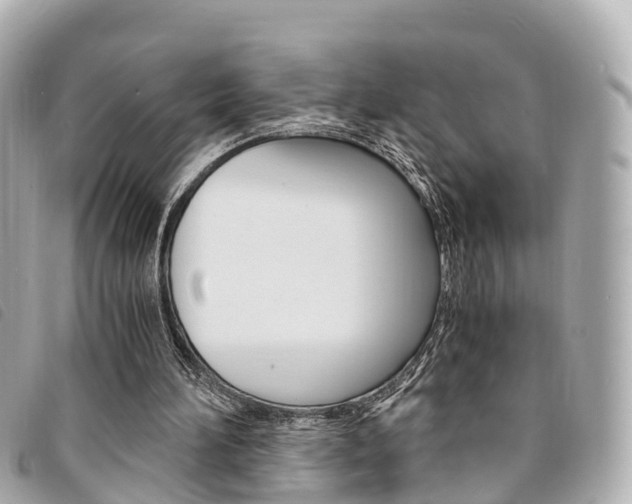 X0000094220196200710261000