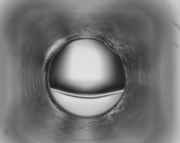 X0000094220197200710261000