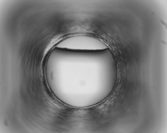 X0000094220198200710261000