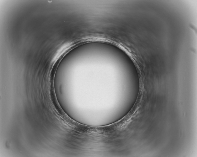 X0000094220199200710261000