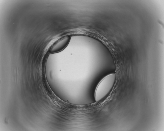 X0000094220200200710261000