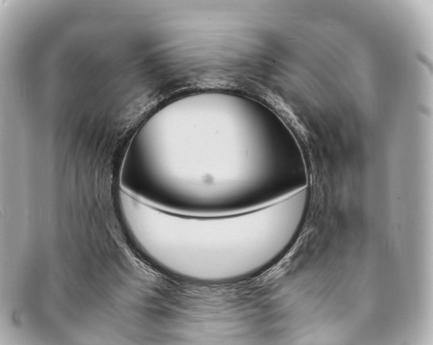 X0000094220201200710261000