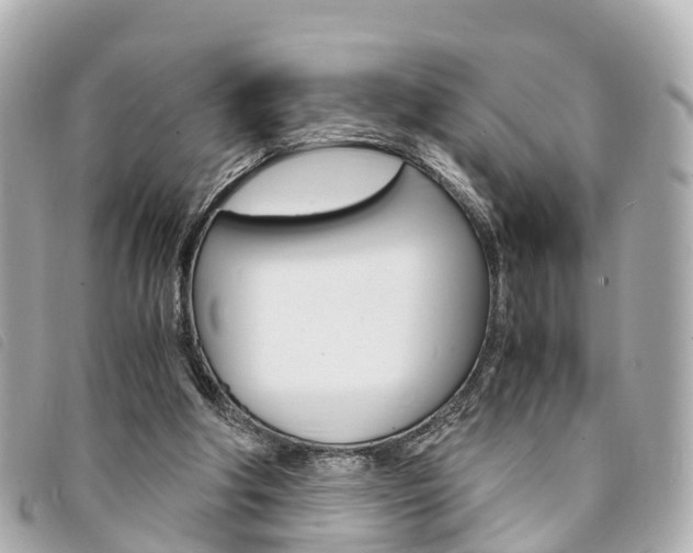 X0000094220202200710261000