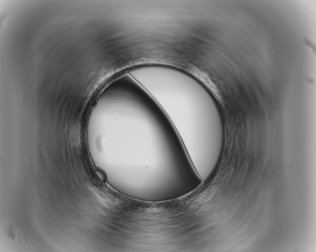 X0000094220204200710261000