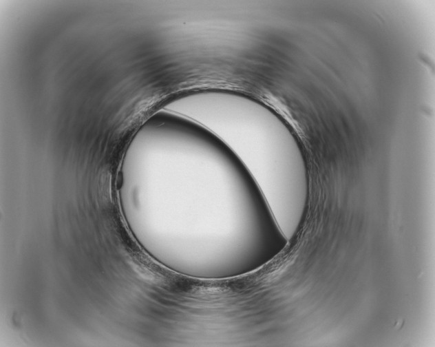 X0000094220205200710261000