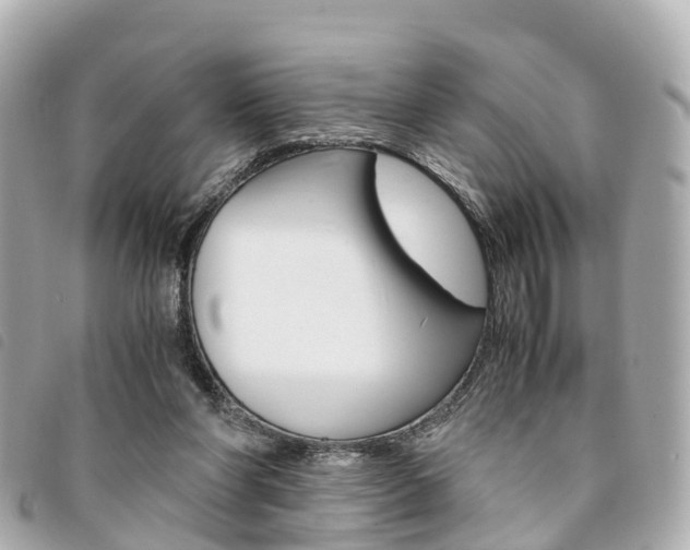 X0000094220206200710261000