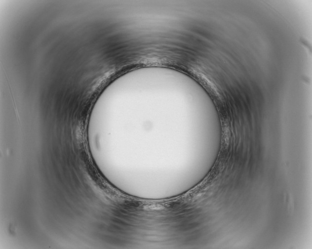 X0000094220208200710261000