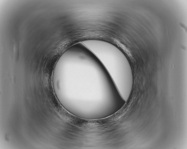 X0000094220209200710261000