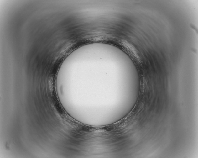 X0000094220210200710261000