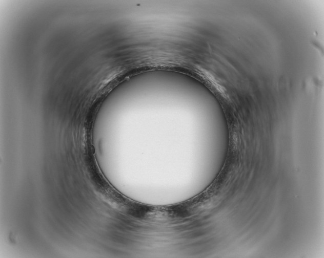 X0000094220211200710261000