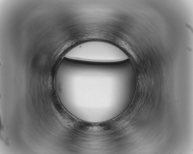 X0000094220212200710261000