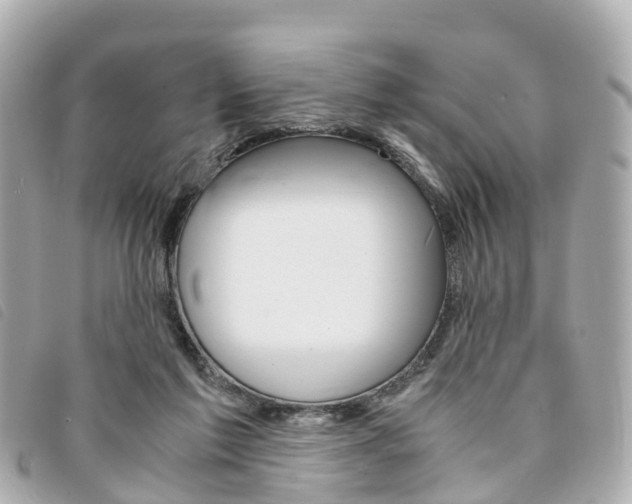 X0000094220213200710261000