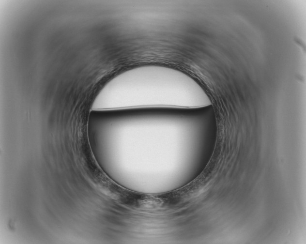 X0000094220215200710261000