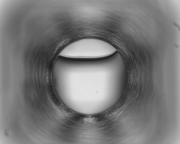 X0000094220216200710261000
