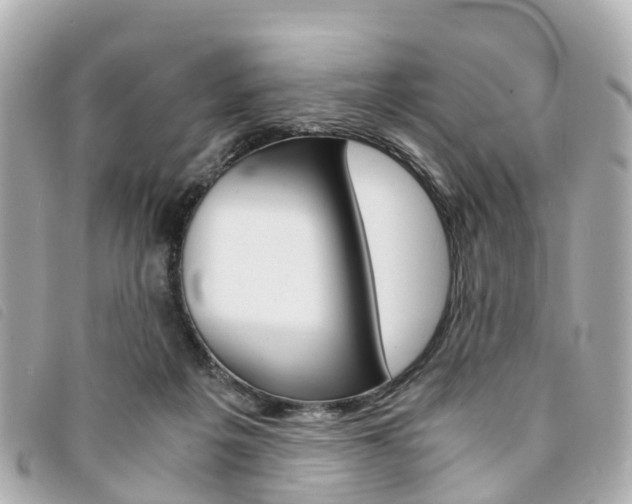 X0000094220217200710261000