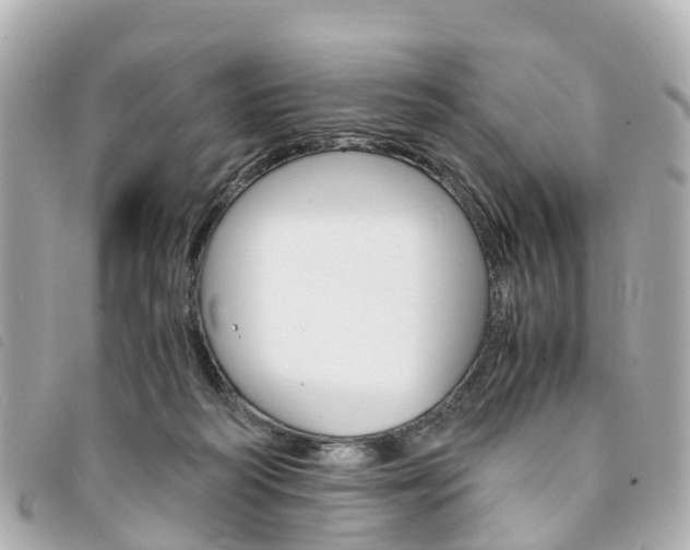 X0000094220218200710261000